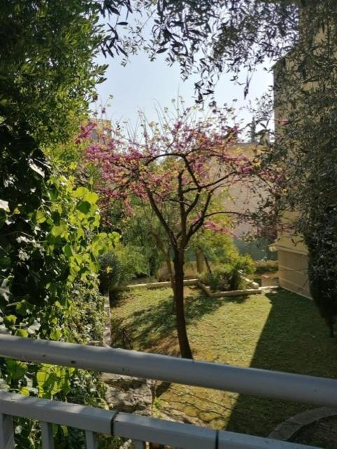 Villa Soraya , Quiet Location With Big Garden Near Beach And Old Town Of Nice Exterior foto